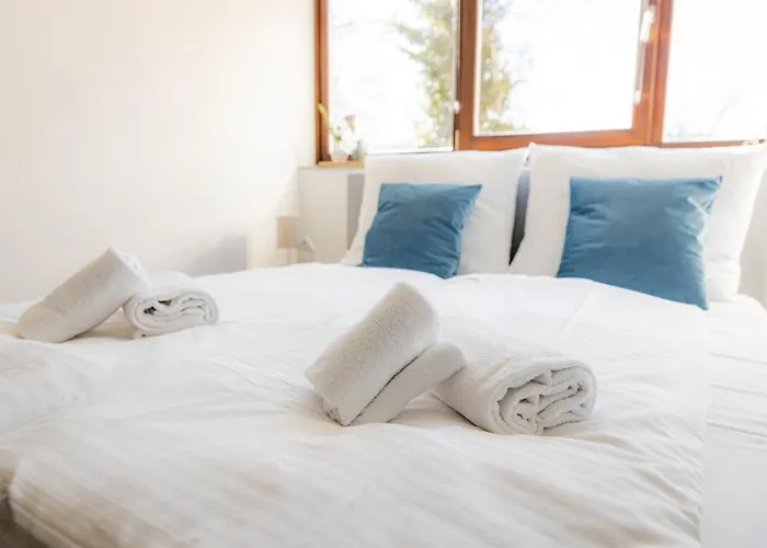 Appartement Come4stay - Holzheim I Modern I Wlan I Kueche I Parkplatz I Smarttv Mit Netflix Passau